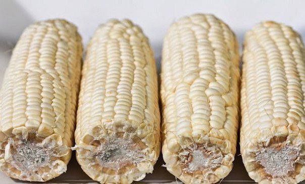 Рецепт Острая кукуруза на гриле шаг-1