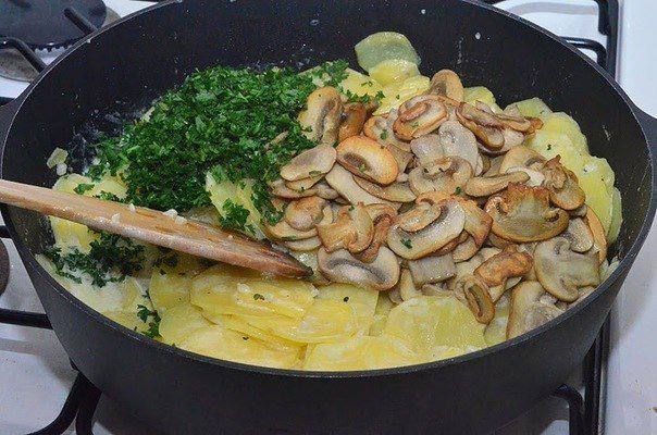 Рецепт Картофель с грибами в сливках шаг-8