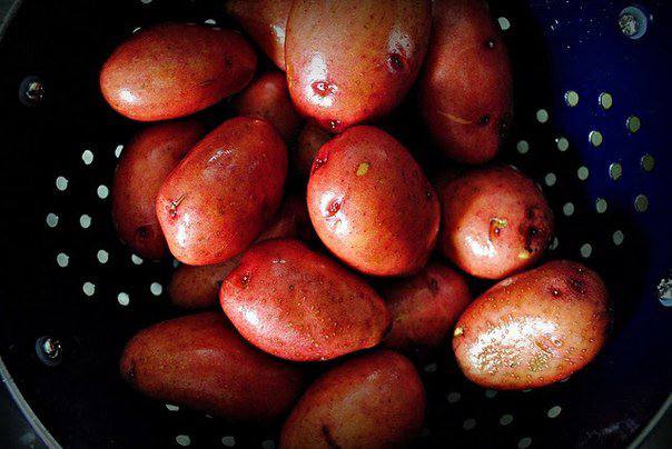 Рецепт Запеченный картофель с розмарином и чесноком шаг-1
