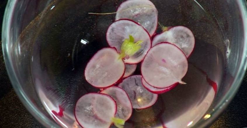 Рецепт Морской гребешок на пюре из цветной капусты шаг-3
