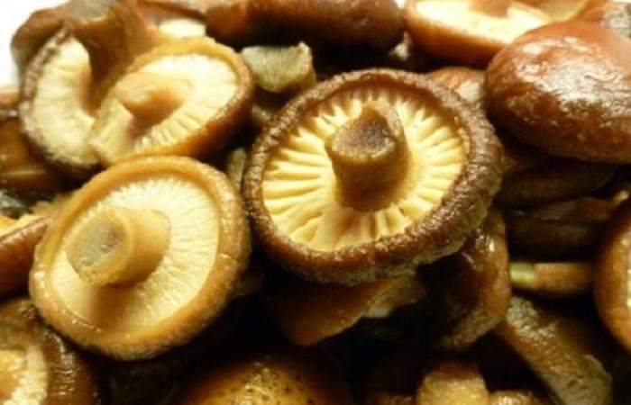 Рецепт Салат из грибов шиитаке  шаг-2