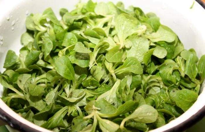 Рецепт Зеленый салат с козьим сыром шаг-1