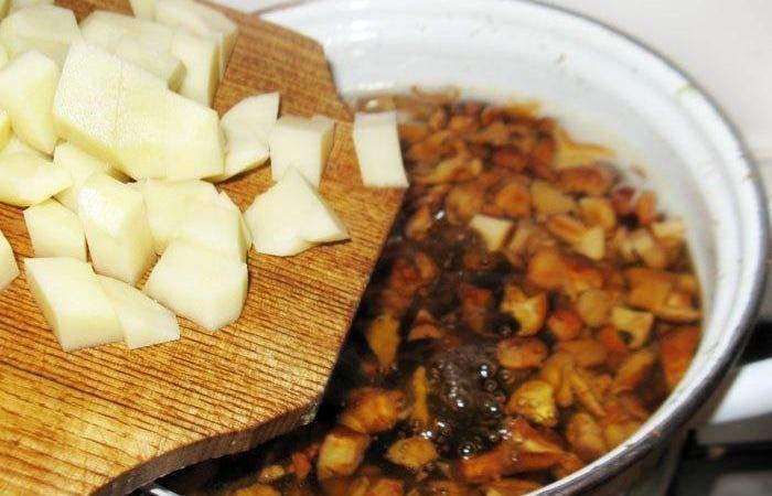 Рецепт Летний суп из лисичек с плавленым сыром шаг-5