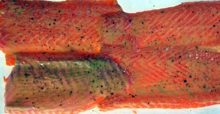 Рецепт Рулет из лосося на тостах шаг-1