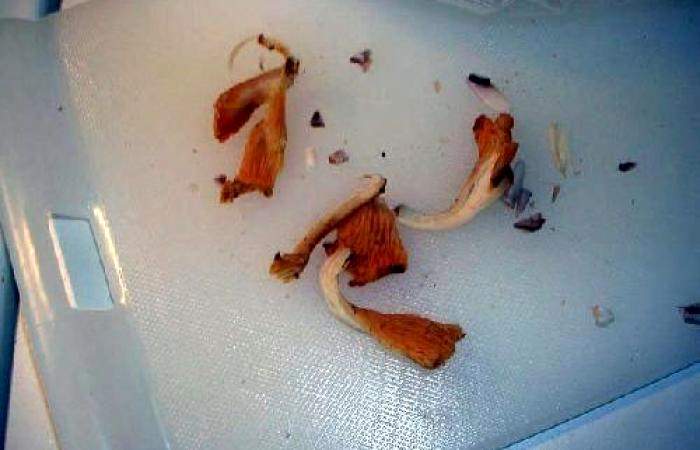 Рецепт Тосты с грибами шаг-5