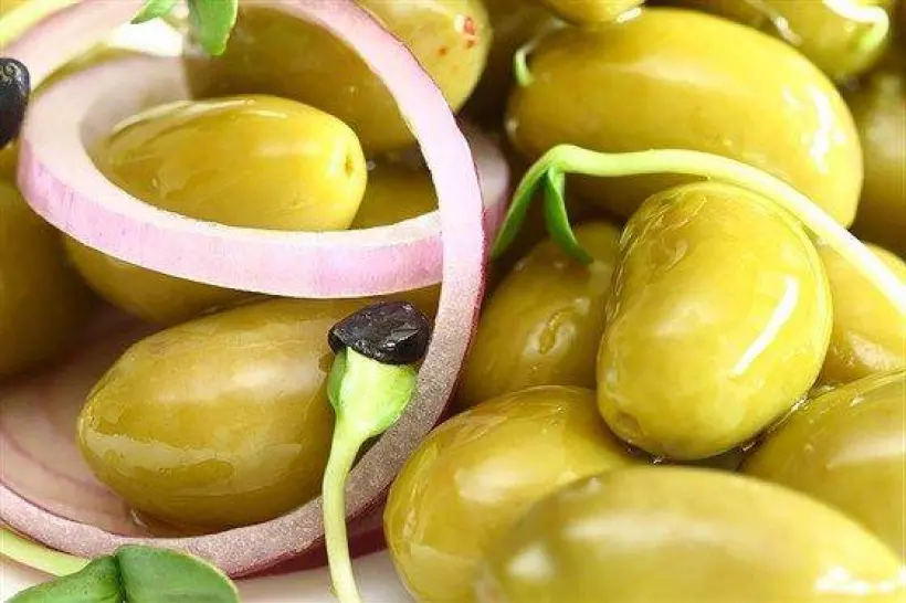 Готовим Салаты Салат с луком и оливками