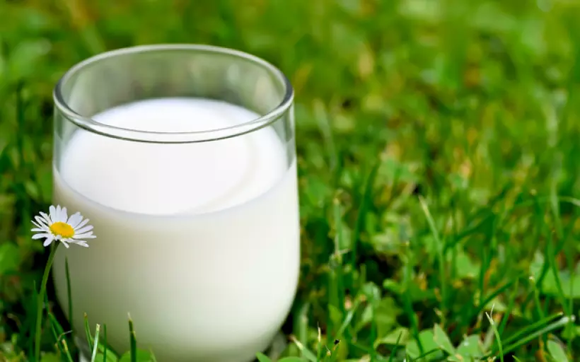 Молоко способствует ожирению
