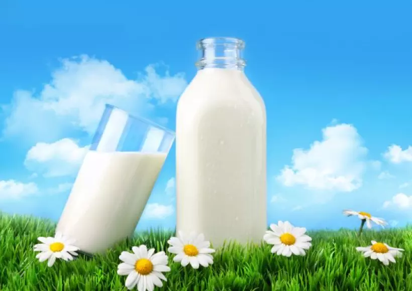 Аллергия на молоко свидетельствует, что с ним не все в порядке