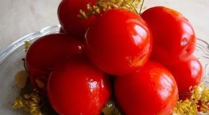 Готовим Консервация Вкусные консервированные помидоры на зиму