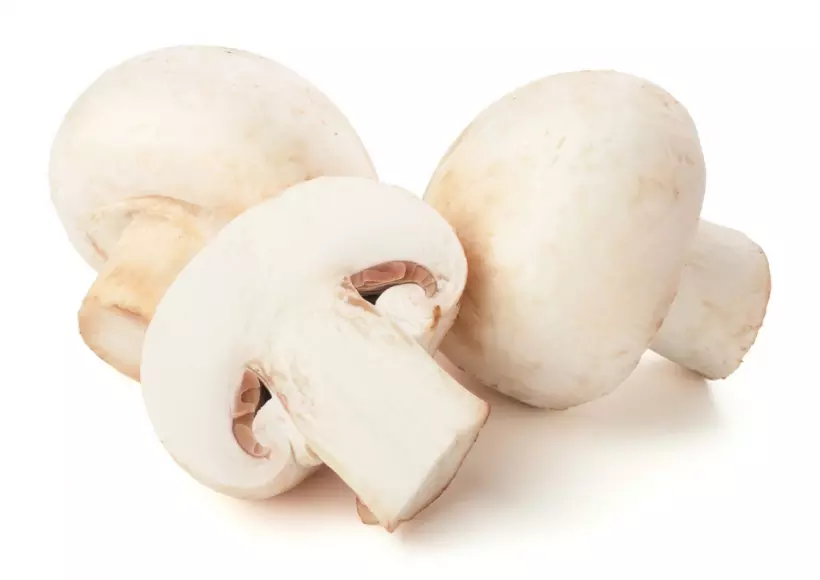 Полезные и вредные качества грибов