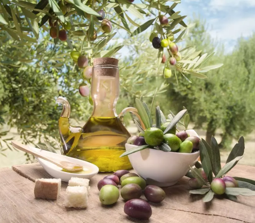 Как дегустировать оливковое масло и как выбрать самое полезное