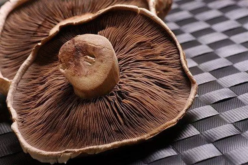 Готовим Закуски Сушеные грибы в маринаде