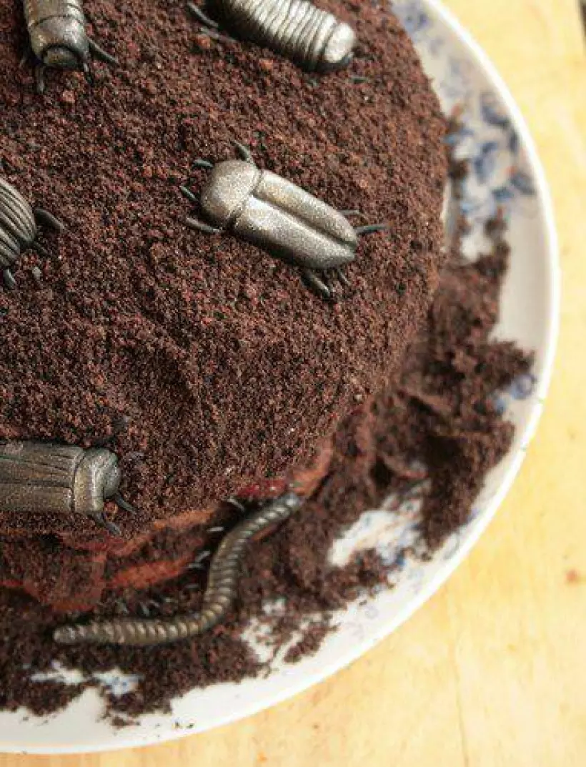 Готовим Десерты Торт «Лес с жуками»