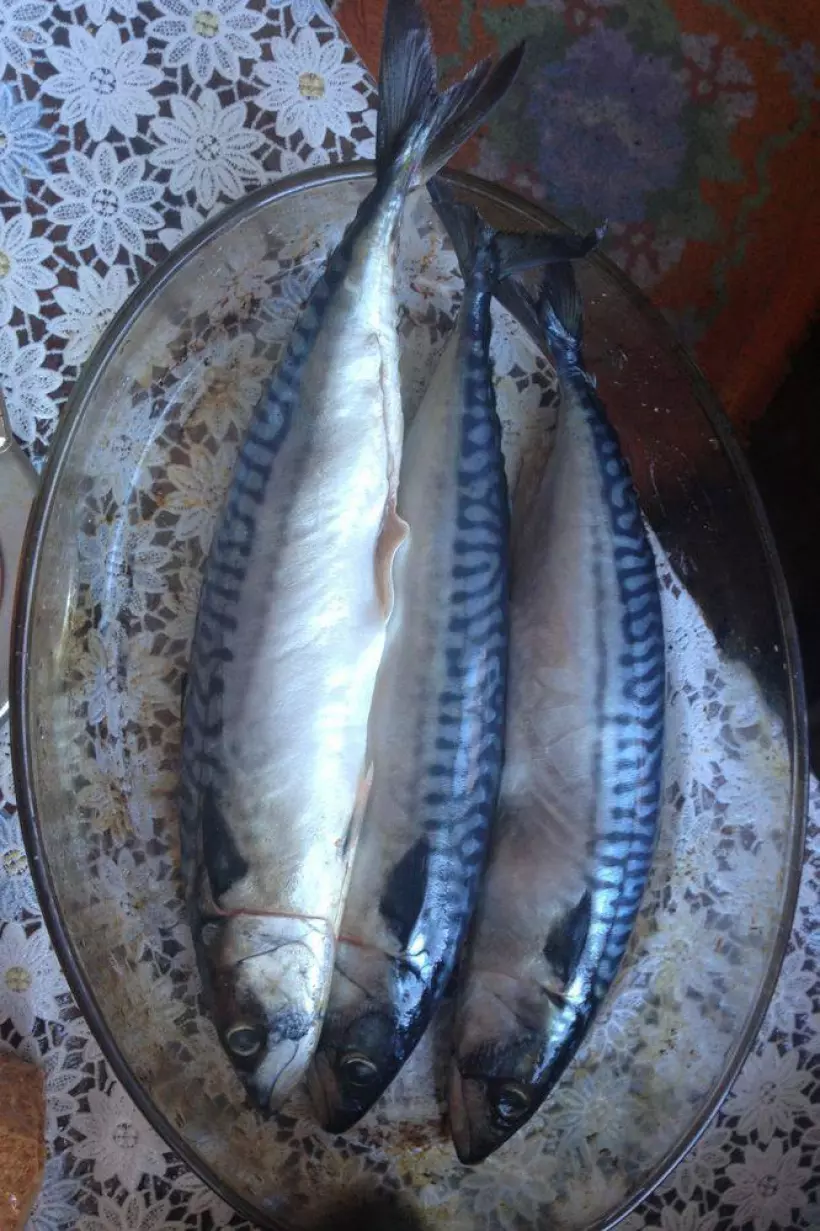 Готовим Рыба Скумбрия, запеченная в фольге, со сладким перцем