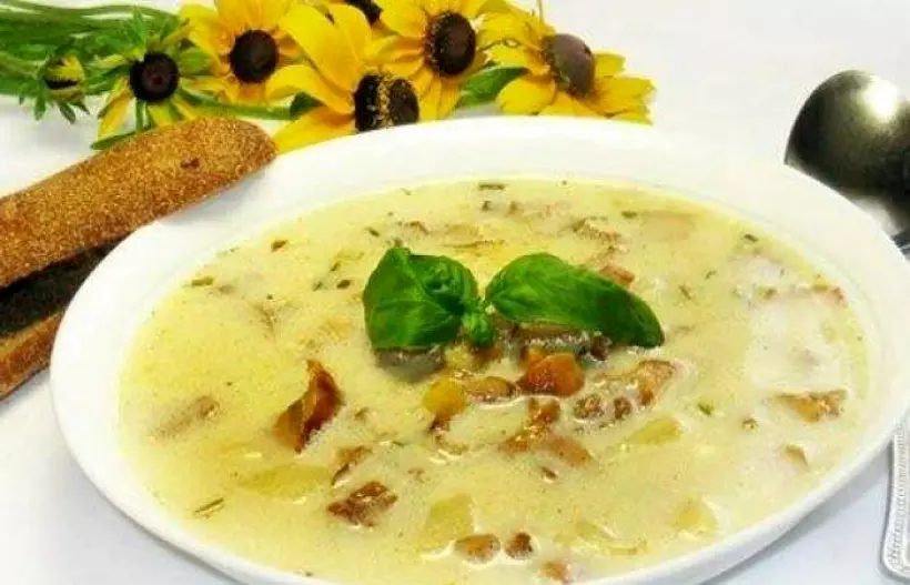 Готовим Супы Летний суп из лисичек с плавленым сыром