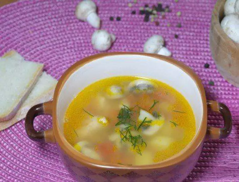 Готовим Супы Суп со свининой и грибами